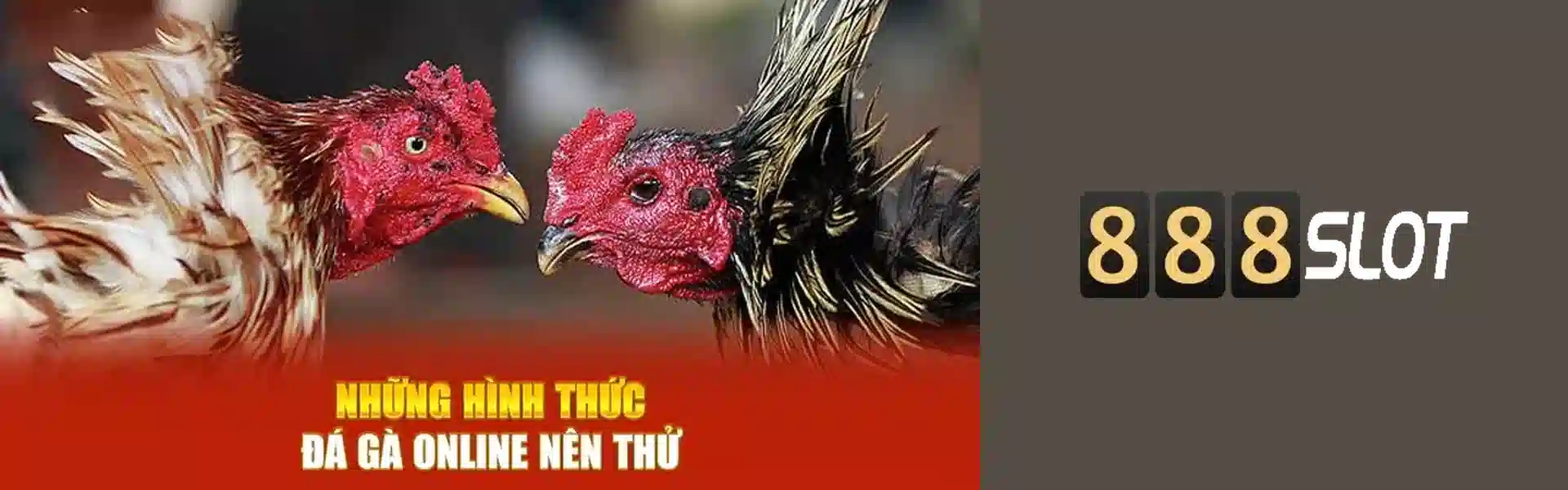 banner 888SLOT banner 888SLOT