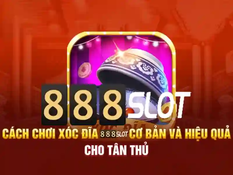 💎nhà xe quang dũng lào cai thanh hoá💎 💎nhà xe quang dũng lào cai thanh hoá💎