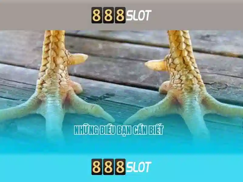 💎nhà cái tặng tiền bonus uk💎 💎nhà cái tặng tiền bonus uk💎