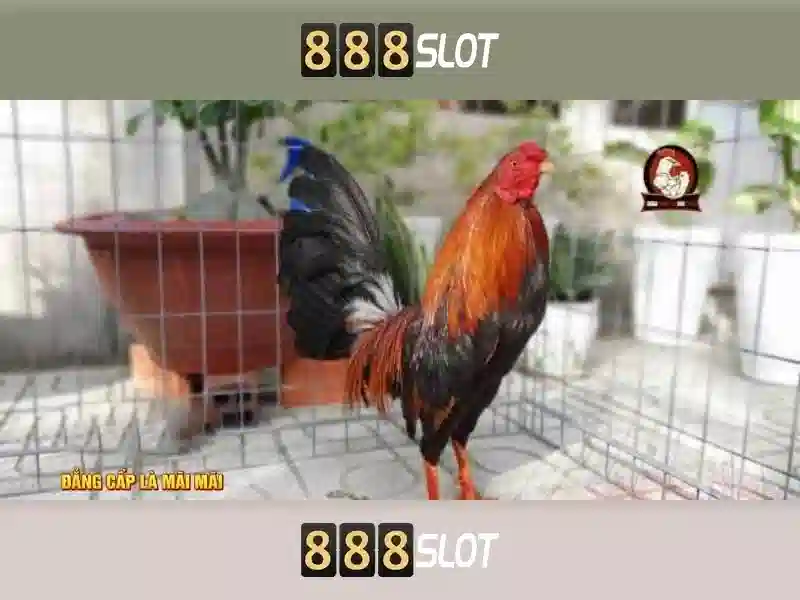 💎slots empire💎 💎slots empire💎