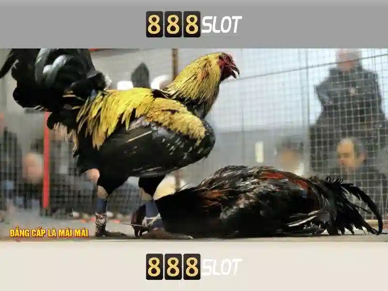 💎nhà cái uy tín hàng đầu châu âu💎 💎nhà cái uy tín hàng đầu châu âu💎