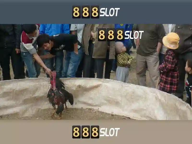 💎slots olympus💎 💎slots olympus💎