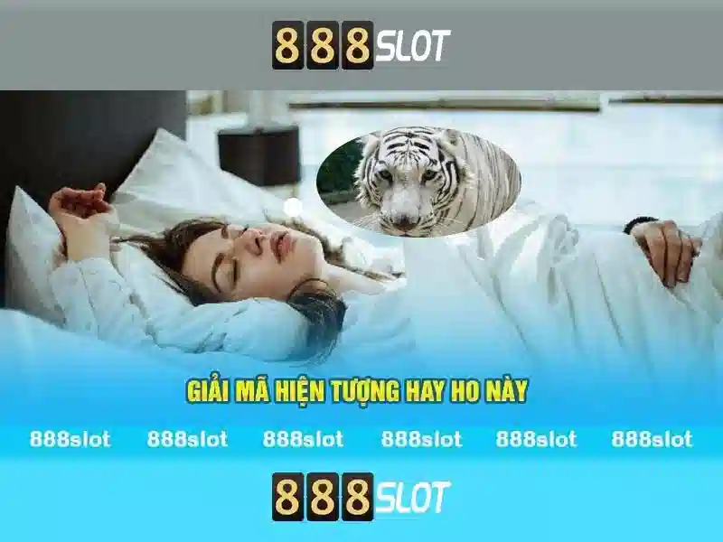 💎slot msi💎 💎slot msi💎