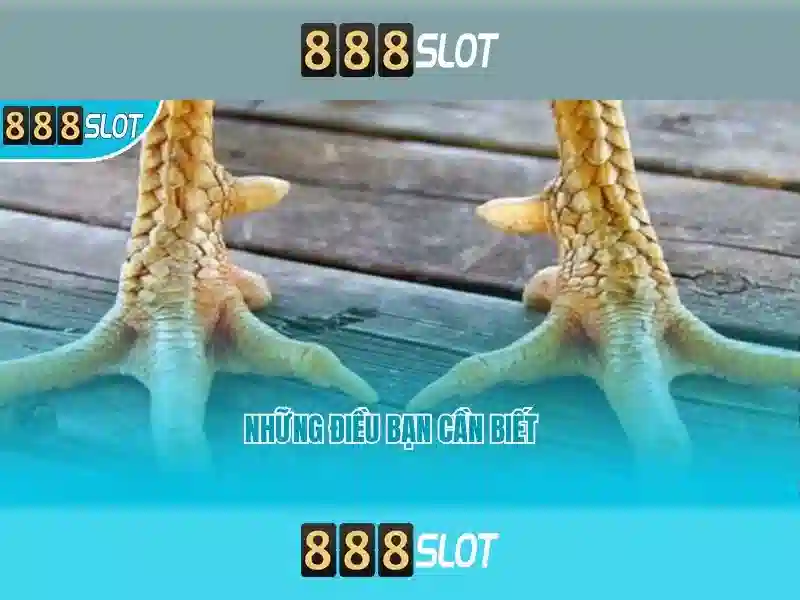 💎cước câu cá 7 màu💎 💎cước câu cá 7 màu💎