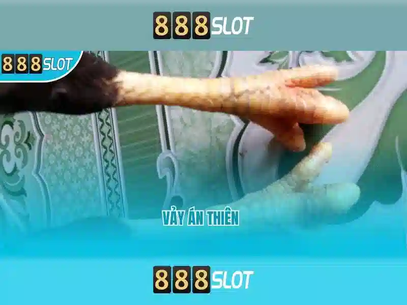 💎keo nha cai tối nay💎 💎keo nha cai tối nay💎