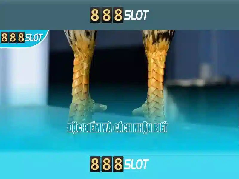 💎giochi slot gratis 2020💎 💎giochi slot gratis 2020💎