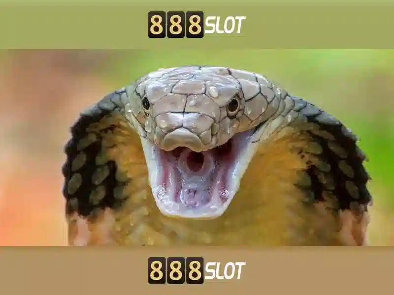 💎ho slot car forum💎 💎ho slot car forum💎