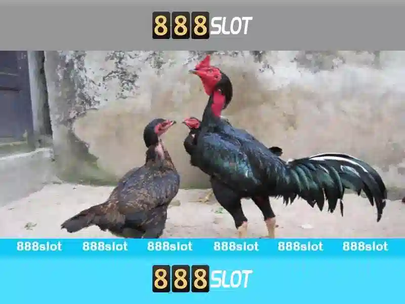 💎vùng núi tây bắc nằm giữa 2 con sông💎 💎vùng núi tây bắc nằm giữa 2 con sông💎