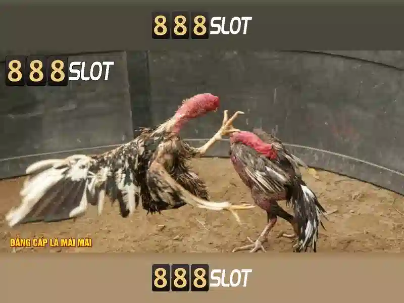 💎volatilidad en slots💎 💎volatilidad en slots💎