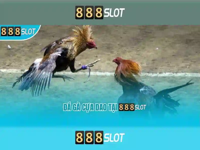 💎hb88 solutions💎 💎hb88 solutions💎