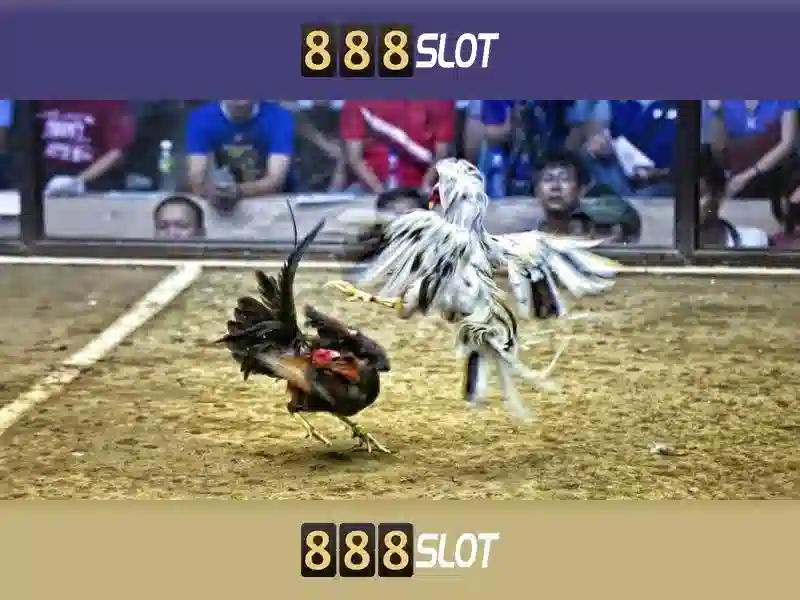 💎nhà rách có khách lại hoài là cái gì💎 💎nhà rách có khách lại hoài là cái gì💎