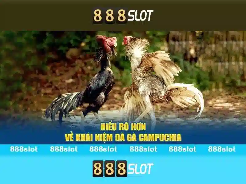 💎bài hát cát bụi cuộc đời ca sĩ phi nhung💎 💎bài hát cát bụi cuộc đời ca sĩ phi nhung💎