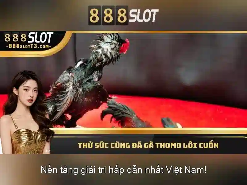 💎kèo nhà cái việt nam trung quốc💎 💎kèo nhà cái việt nam trung quốc💎