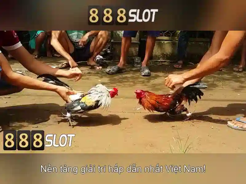 💎tại sao miền bắc đánh miền nam💎 💎tại sao miền bắc đánh miền nam💎