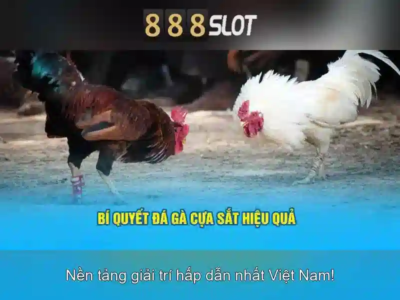Nhà Cái 888SLOT – Cơ Hội Trúng Thưởng Bạc Tỷ Hấp Dẫn Trong Slot - 888SLOT Nhà Cái 888SLOT – Cơ Hội Trúng Thưởng Bạc Tỷ Hấp Dẫn Trong Slot - 888SLOT