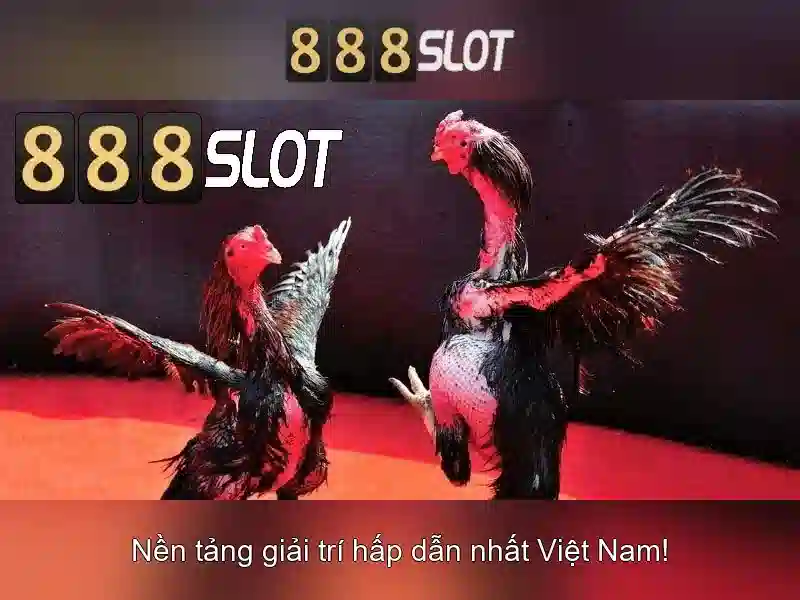 💎kênh nha cai💎 💎kênh nha cai💎