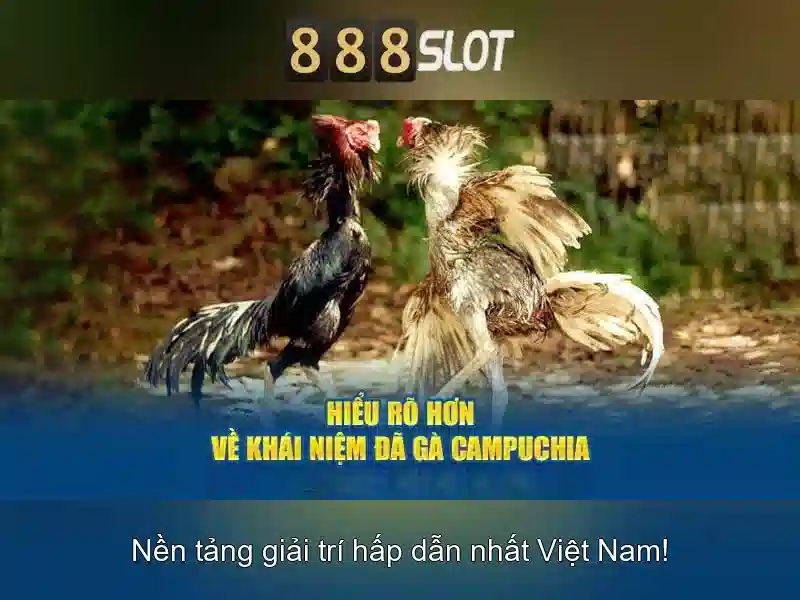 💎kèo nhà cái hoàng anh gia lai💎 💎kèo nhà cái hoàng anh gia lai💎
