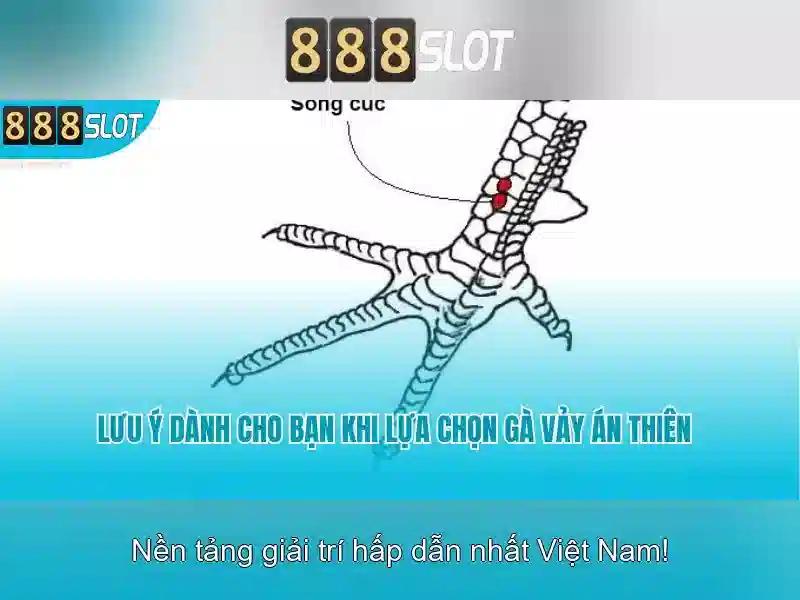 💎vertical slot bracket💎 💎vertical slot bracket💎